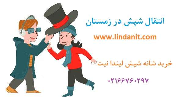 انتقال شپش در زمستان